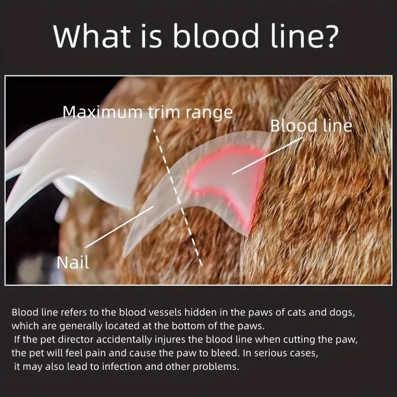 An LED pet nail scissor, non-slip handle, suitable for easily and safely trimming dog and cat paws, providing convenience