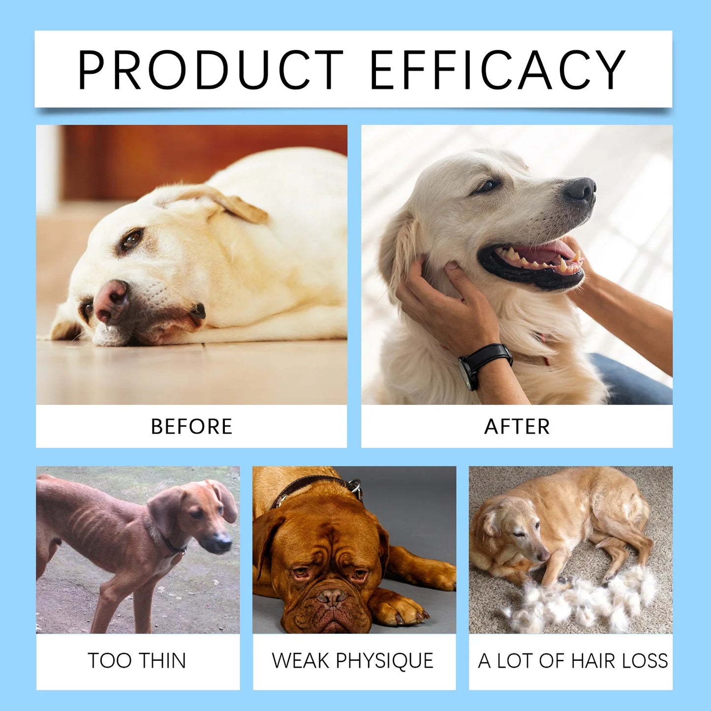 Multivitamin Supplement Tablets for Dogs and Cats, Meat Essence Formula, Vision Support, Strong Bones, Energy Metabolism Boost