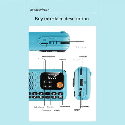 FULL-Portable FM Radio Wireless Bluetooth Speaker Recorder Withled Screen Support TF Card U Disk Forhome Outdoor B