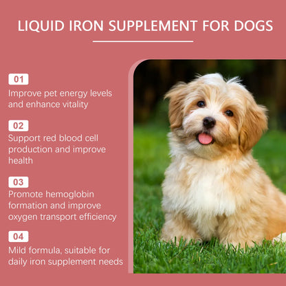 60ml Dog Iron Supplement Liquid Syrup – Gentle Fast-Absorb Boosts Hemoglobin, Red Blood Cell Count & Energy Vitality