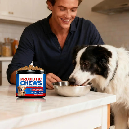 Dog Gut Health Supplement 200g Skin Care Natural Small Dog Itchy Skin Relief Tablets For After Meal Seasonal Changes Food