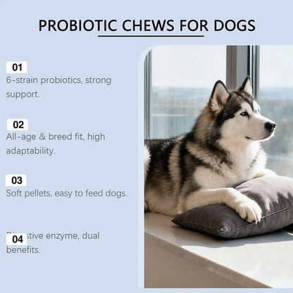Pet Health Chews 200g Healthy Treats Natural Skin Care Digestive Care Dog Supplements for After Meal Seasonal Changes Food