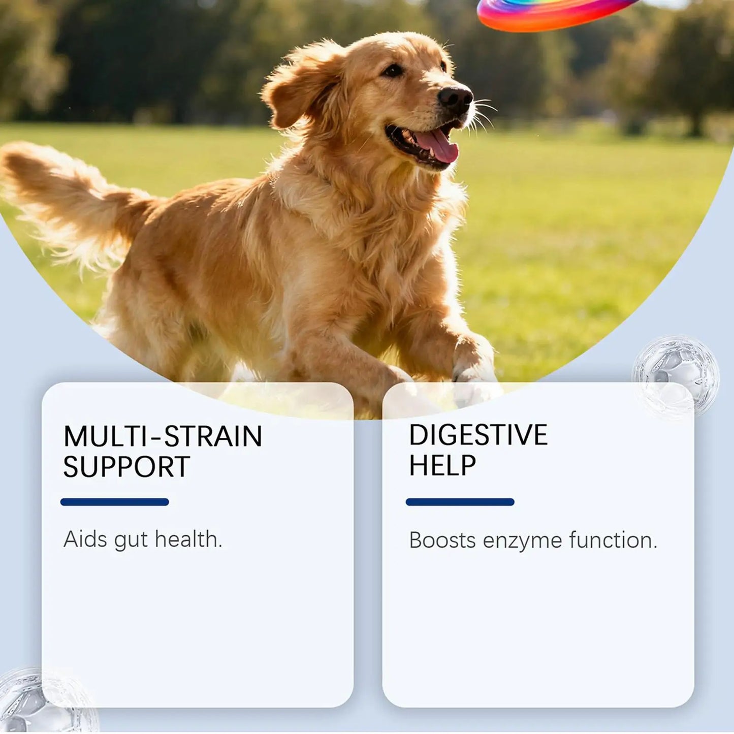 Dog Gut Health Supplement 200g Skin Care Natural Small Dog Itchy Skin Relief Tablets For After Meal Seasonal Changes Food