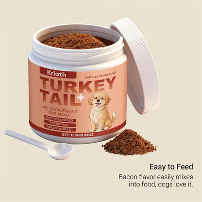 Dog Daily Supplement For Senior Dogs Joint And Coat Daily Comprehensive Care For Your Dog. Cozy Comfort