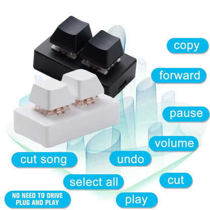 Mini Keyboard 2 Key Gaming Keyboard RGB USB Keypad 2-key Copy And Paste One-key Password Shortcut Combinations Key Multiple Keys