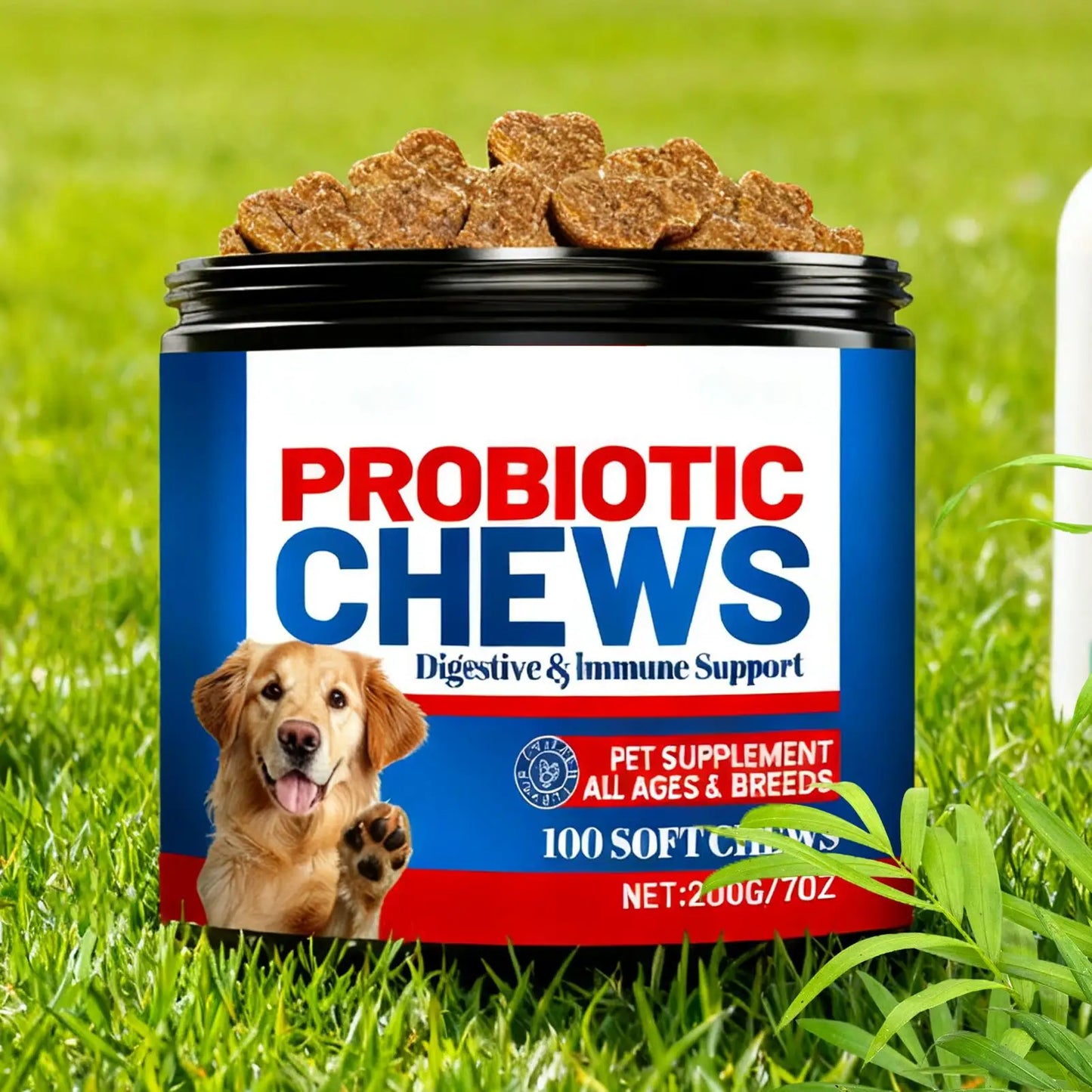 Dog Gut Health Supplement 200g Skin Care Natural Small Dog Itchy Skin Relief Tablets For After Meal Seasonal Changes Food