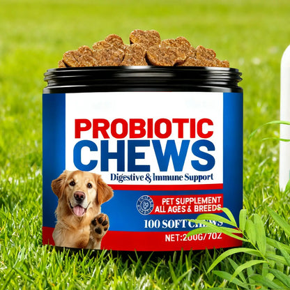 Pet Health Chews 200g Healthy Treats Natural Skin Care Digestive Care Dog Supplements for After Meal Seasonal Changes Food