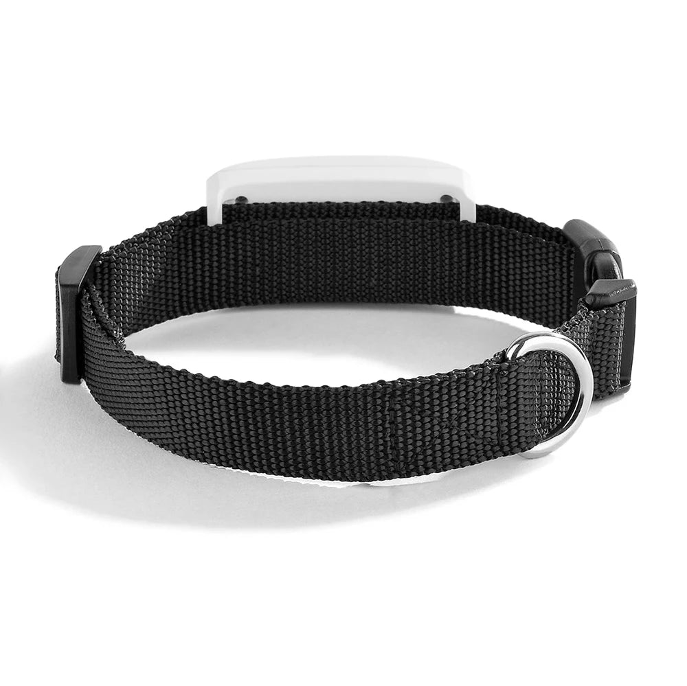 2G GSM GPS Tracker Pet TK909 GPS Locator TKSTAR Mini GPS Pets Tracker 2G GSM Best Dog GPS Tracker With Free APP Waterproof IP67