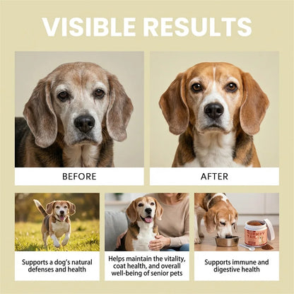 Daily Dog Supplement For Itchy Skin And Stiff Joints Promotes Health Skin & Shiny Coat. Radiant-Glow