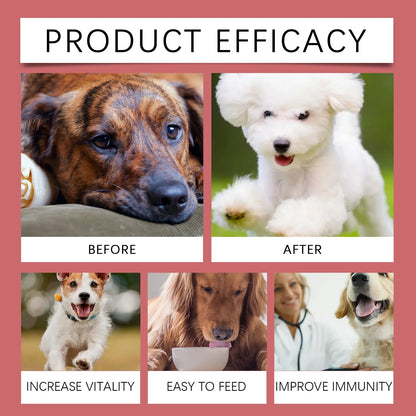 60ml Dog Iron Supplement Liquid Syrup – Gentle Fast-Absorb Boosts Hemoglobin, Red Blood Cell Count & Energy Vitality