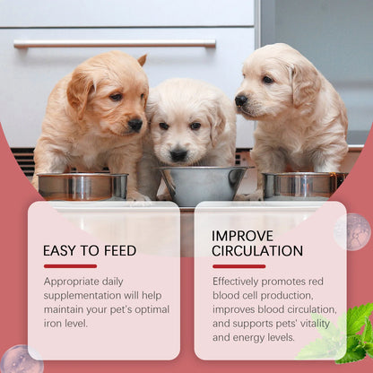 60ml Dog Iron Supplement Liquid Syrup – Gentle Fast-Absorb Boosts Hemoglobin, Red Blood Cell Count & Energy Vitality
