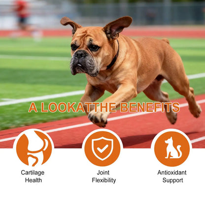 Dog Joint Supplement Chewable Pill 100-piece Dog Joint And Hip Supplement For Home Travel Daily Care Digestive Absorption Pet