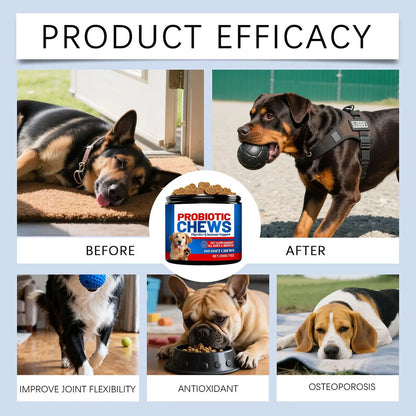 Dog Gut Health Supplement 200g Skin Care Natural Small Dog Itchy Skin Relief Tablets For After Meal Seasonal Changes Food