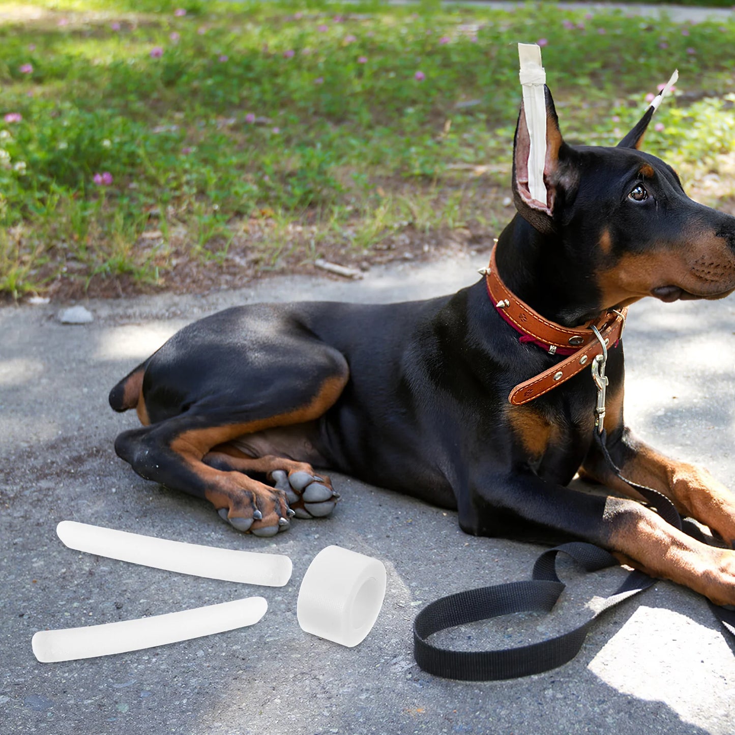 10 Pcs The Dog Soft Foam Tape Pet Doberman Ear Posting Kit Adhesive Stand up Support Dog Ear Stand Fixed Rod pet ear accessories