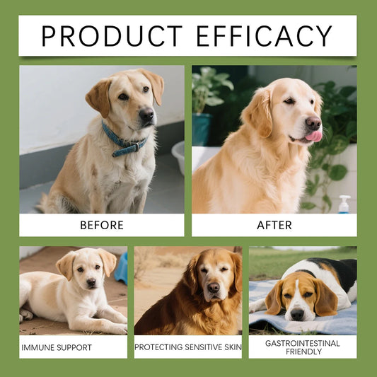 Dog Taurine Powder For Heart Health Supplement Gentle Formulas For Sensitive Stomachs. Caring Pet Parent