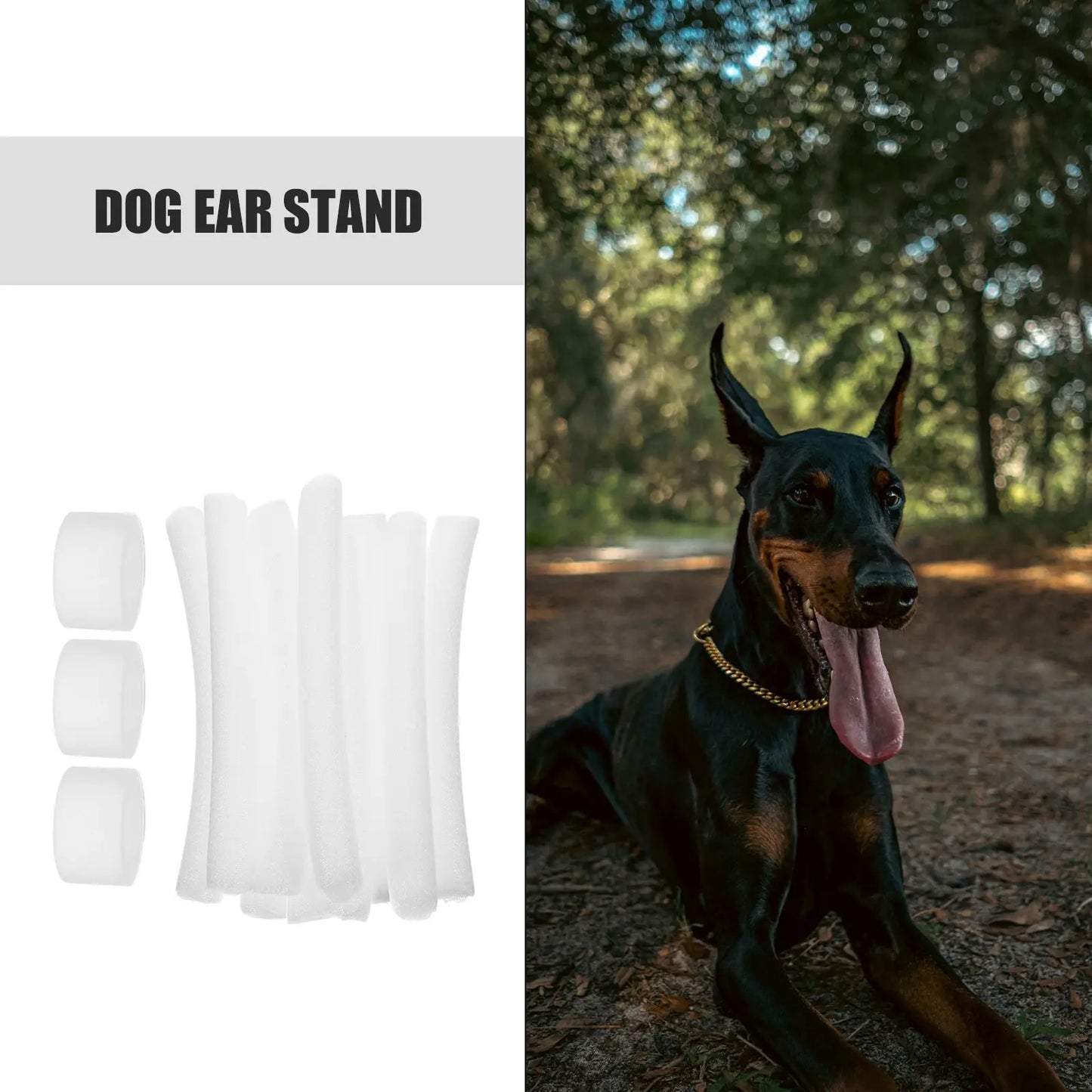 10 Pcs The Dog Soft Foam Tape Pet Doberman Ear Posting Kit Adhesive Stand up Support Dog Ear Stand Fixed Rod pet ear accessories